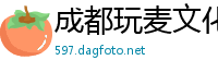 成都玩麦文化传播有限公司